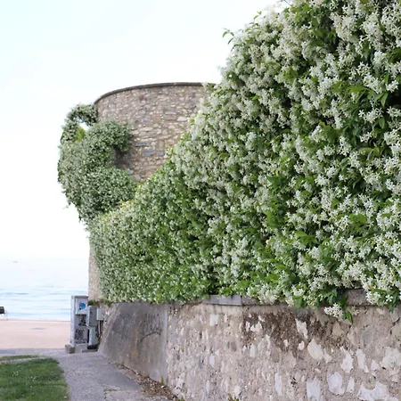 Monika 5 Garden Appartamento *
