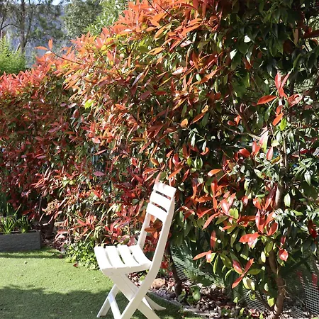 公寓 Monika 5 Garden 加尔达